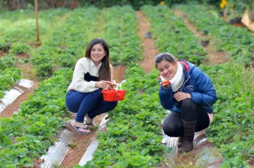 Cảm xúc tại Đà Lạt mộng mơ