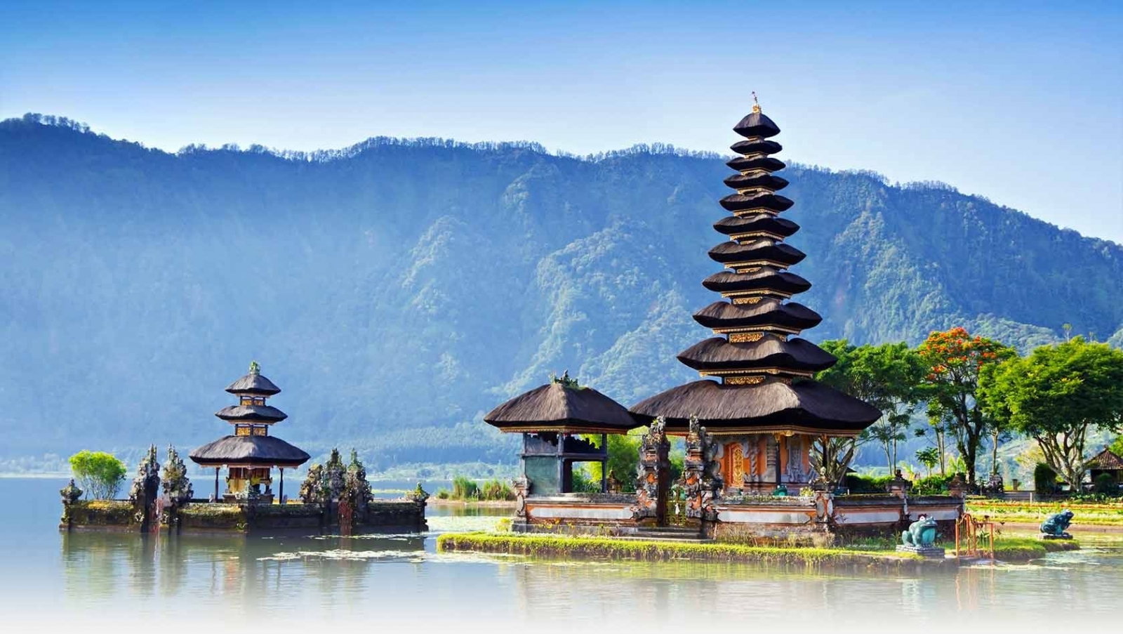 Bali Bali