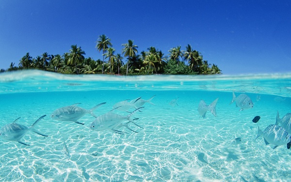 Bãi Biển Maldives
