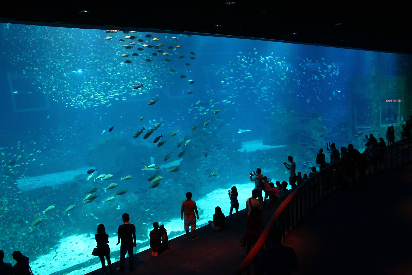 Công viên SEA Aquarium Singapore