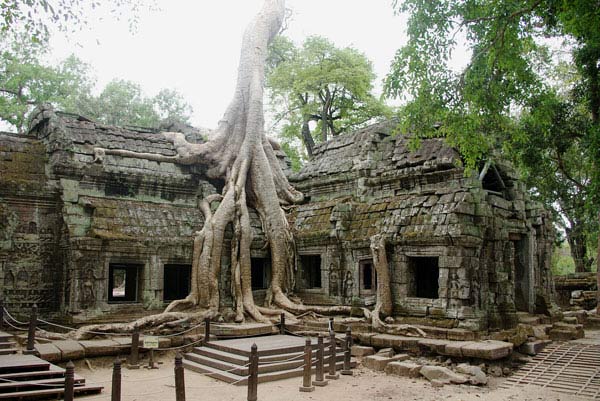 Đền Ta Prohm Đền Ta Prohm