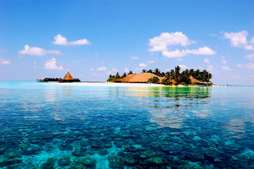 Đảo San Hô Coral Thái Lan Đảo San Hô Coral Thái Lan
