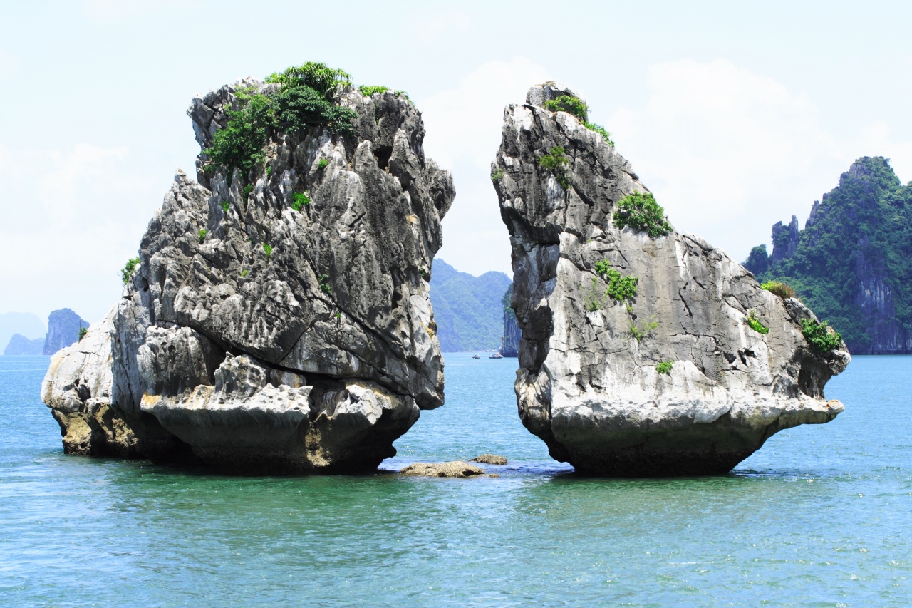 Hạ Long Hạ Long
