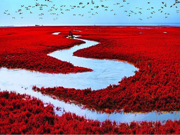 Red Beach Red Beach