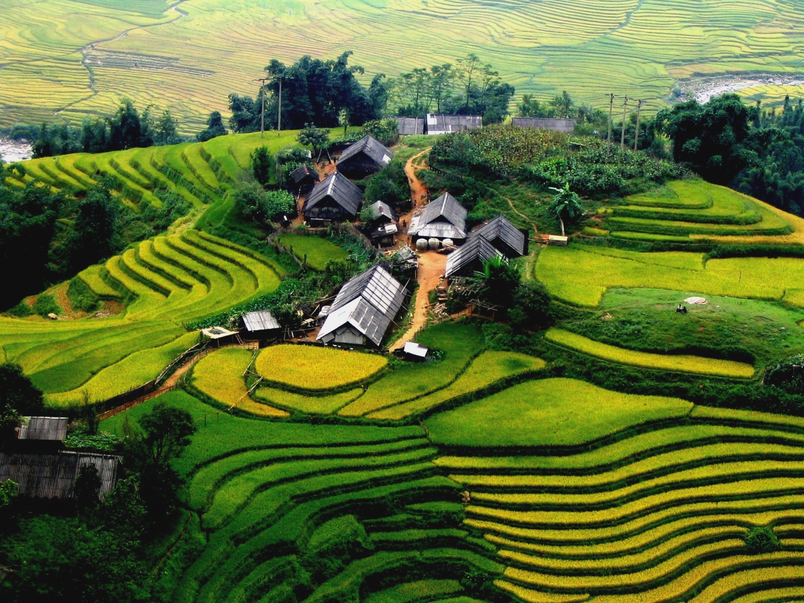 bản Cát Cát - Sín Chải
