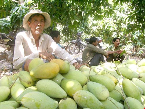Cao Lãnh