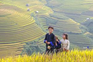 Tour du lịch những mùa hoa phương Bắc: Sài Gòn - Mù Căng Chải - Sài Gòn