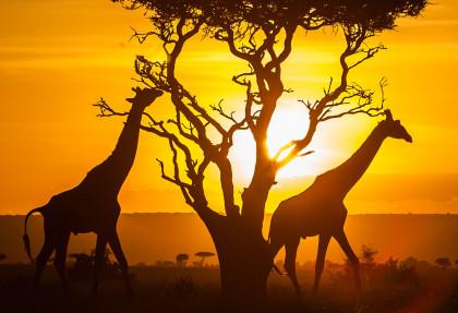 Du lịch Kenya