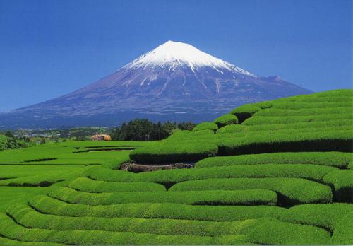 Du lịch Châu Á