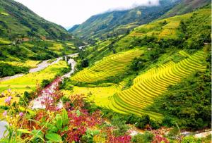 Du lịch Mộc Châu - Mai Châu: Sài Gòn - Mai Châu - Mộc Châu  Sơn La - Điện Biên - Sài Gòn