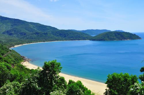 Tour Free and Easy Đà Nẵng