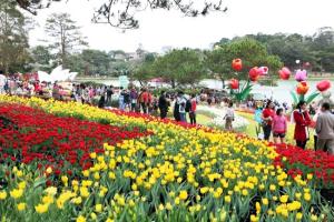 Tour du lịch Đà Lạt: Sài Gòn - Đà Lạt - Sài Gòn