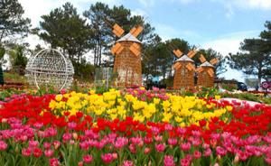 Tour du lịch cuối tuần: Sài Gòn - Đà Lạt - Sài Gòn