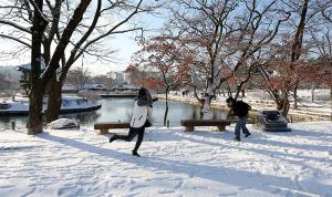 Tour du lịch Hàn Quốc: Hồ Chí Minh - Seoul - Nami - Công viên Everland - Hồ Chí  Minh