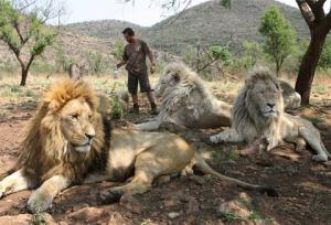Tour du lịch Nam Phi: Sài Gòn - Nam Phi - Johannesburg - Sun City - Pretoria - Cape Town - Sài Gòn