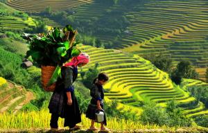 Tour du lịch xuyên Việt: Sài Gòn đến Tây Bắc Hùng Vĩ (14 ngày/ 13 đêm)