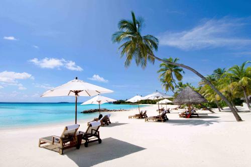 Tour Free and Easy Nha Trang