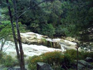 Tour du lịch Tây Nguyên: Sài Gòn - Pleiku - Kon Tum - Măng Đen - Sài Gòn