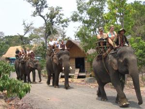 Tour du lịch Tây Nguyên: Sài Gòn - Buôn Ma Thuột - Sài Gòn