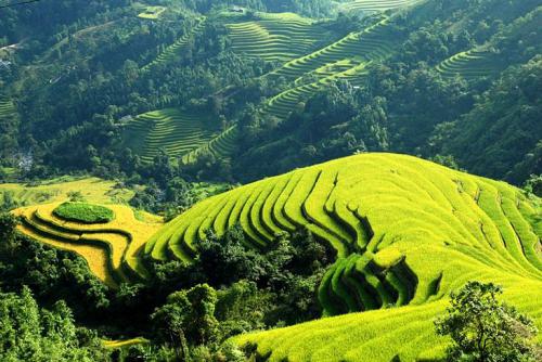 Du lịch Sapa