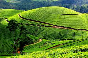Tour du lịch xuyên Việt: Sài Gòn- Hành trình khám phá vòng cung Đông Bắc (13 ngày/ 12 đêm)